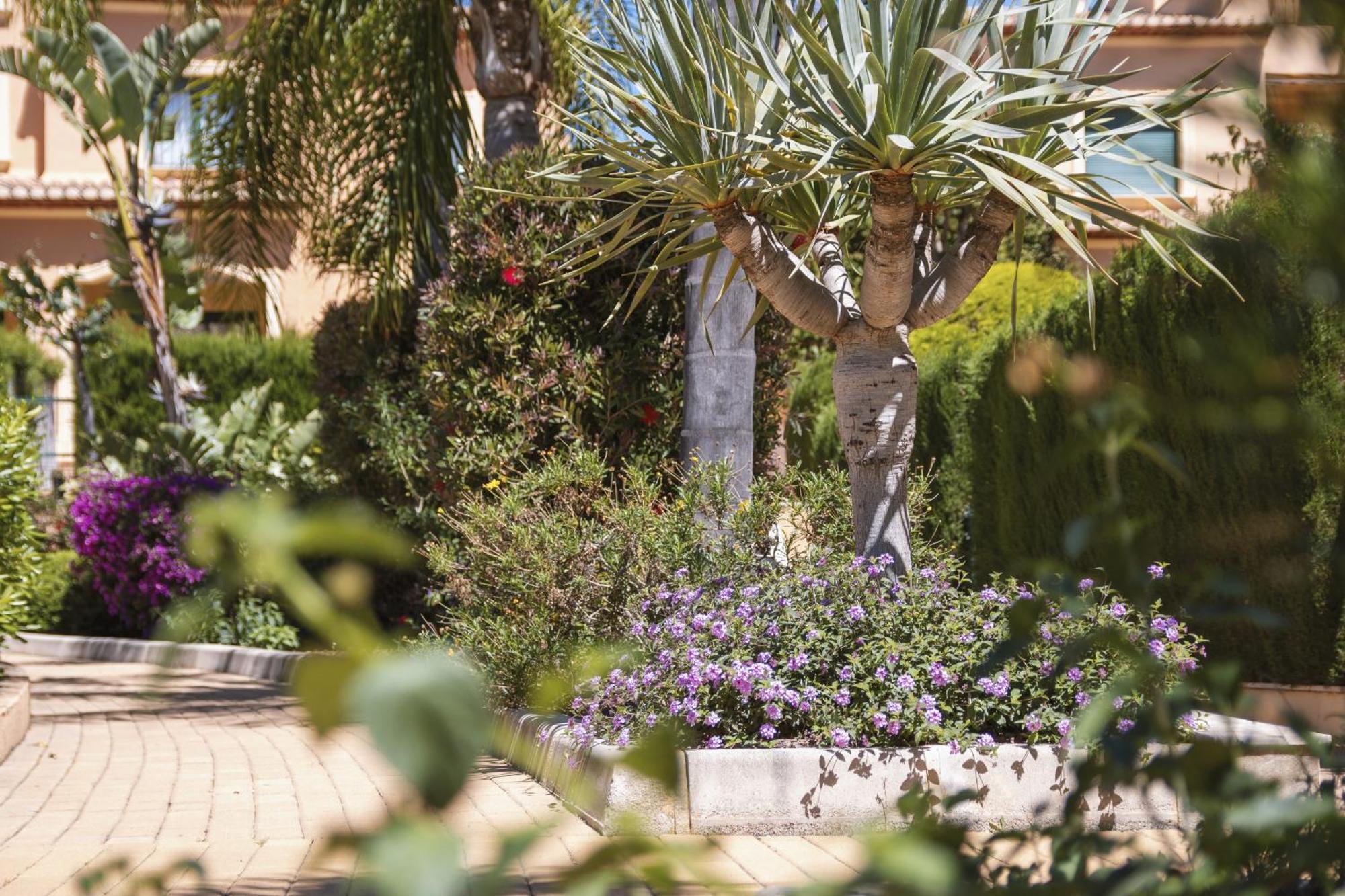Appartement Floridamar à Jávea Extérieur photo