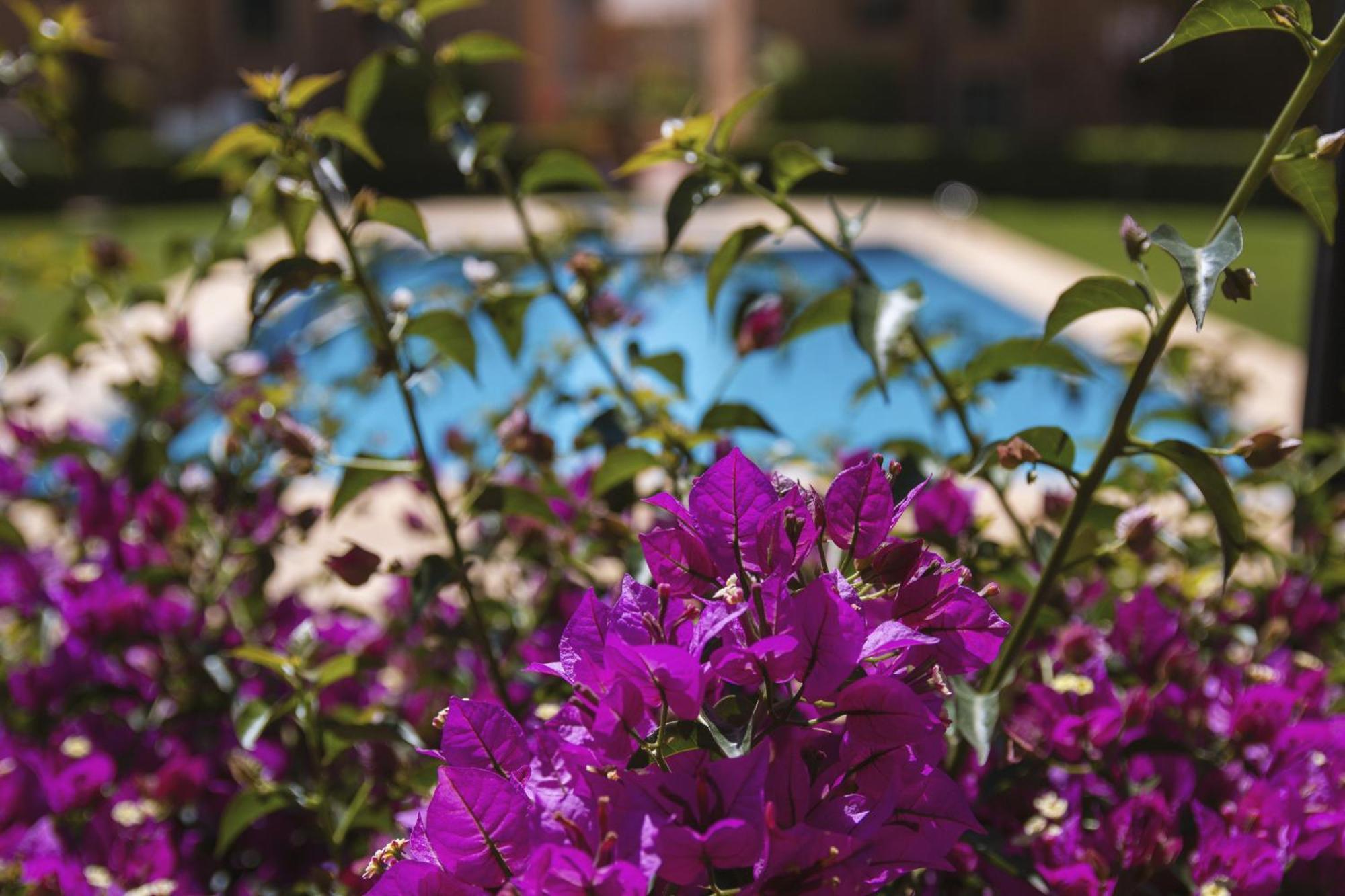 Appartement Floridamar à Jávea Extérieur photo